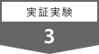 3 実証実験